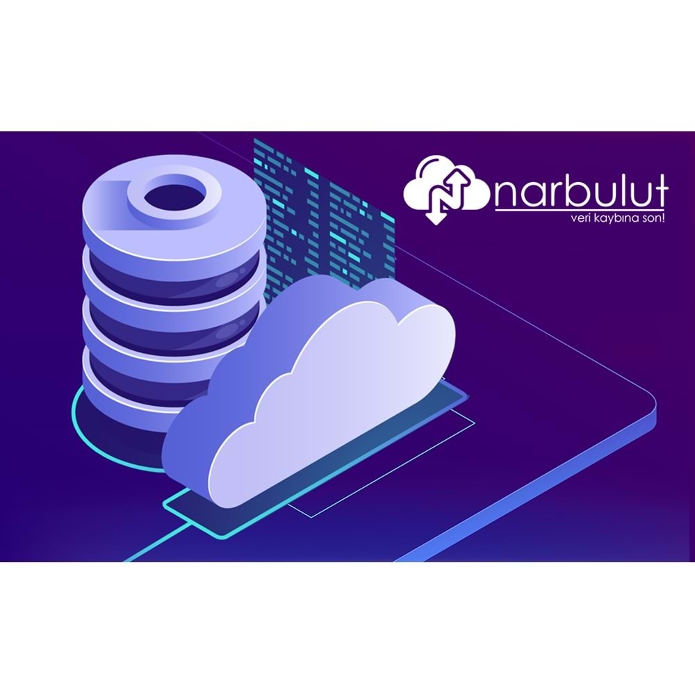 NARBULUT Backup Now 100GB Professional Edition, 1 yıl